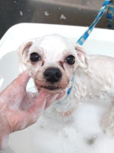 20260306_115656_copy_2734x3647