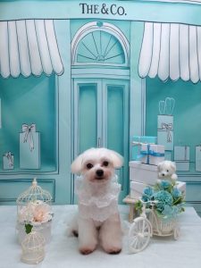 20260306_124852_copy_2070x2760