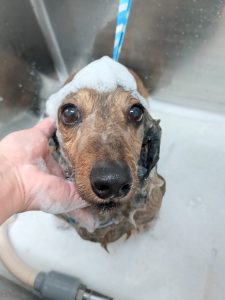 20260306_155150_copy_2639x3519_1