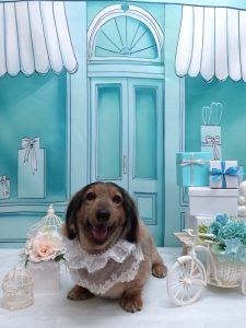 20260306_172816_copy_1922x2564