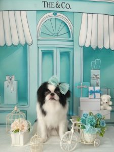 20260307_094753~2_copy_1866x2490