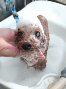 20260307_101458_copy_2536x3382