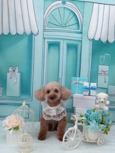 20260307_120131_copy_1808x2410