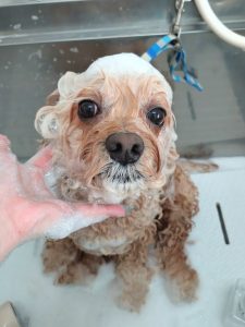 20260307_125623_copy_2294x3059