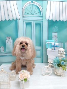 20260307_151135_copy_2004x2670