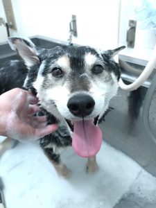 20260307_155634_copy_2846x3794