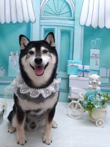 20260307_170007_copy_1852x2470