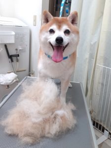 20260307_174004_copy_2520x3360