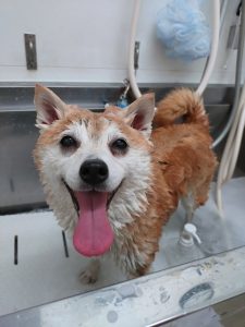 20260307_175133_copy_3000x4000