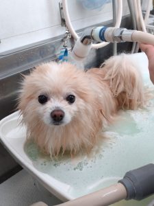 20260309_101200_copy_2072x2762