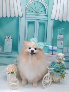 20260309_111702~2_copy_1836x2450