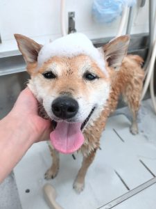 20260309_114006~2_copy_2792x3723