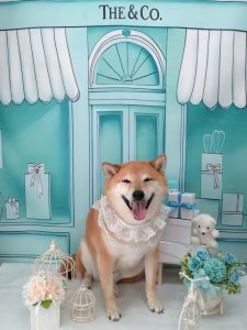 20260309_123043_copy_1984x2644