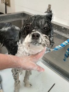 20260309_132255~3_copy_2700x3600