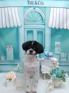 20260309_152611(1)~2_copy_1912x2550