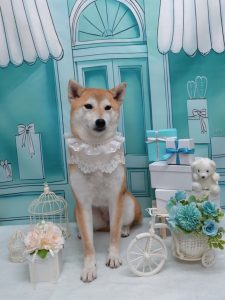 20260309_162619~2_copy_1846x2462