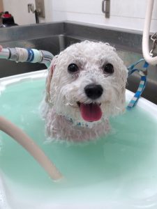 20260309_174721_copy_2028x2704