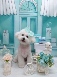 20260309_190440(1)~2_copy_1978x2638