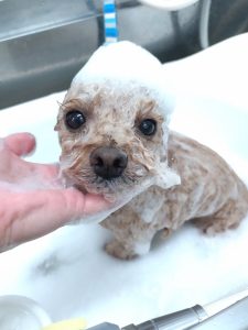 20260310_091540_copy_5400x7200