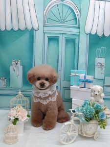 20260310_111821~2_copy_1916x2556