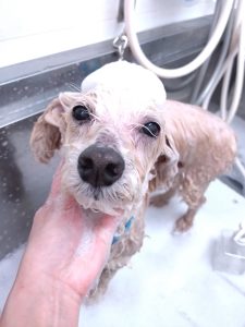 20260310_121439_copy_2700x3600_1