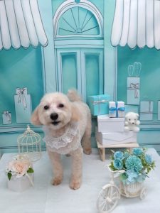 20260310_142917_copy_2016x2690