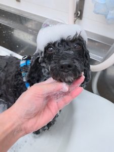 20260310_150227_copy_2700x3600_1