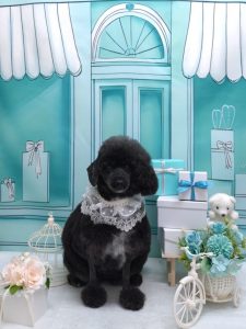 20260310_170700_copy_1944x2592