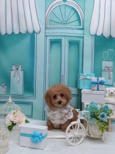 20260310_183124~2_copy_1988x2650