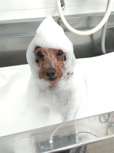 20260312_090817_copy_1944x2592