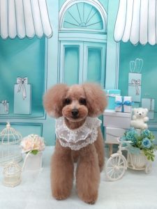 20260312_112949_copy_2020x2696