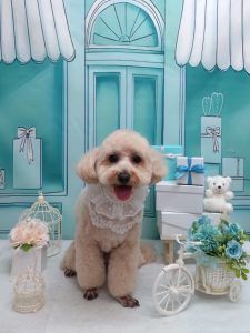 20260312_144257~2_copy_1982x2644