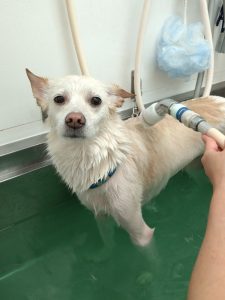 20260312_151234_copy_2078x2770