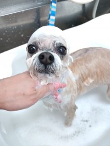 20260312_163429_copy_2759x3679