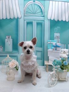 20260312_183721(1)_copy_2034x2712