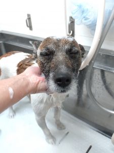 20260312_184800_copy_2642x3522_1