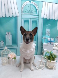 20260312_191540(1)_copy_2100x2799