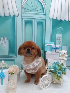 20260313_143614(1)~2_copy_1904x2538