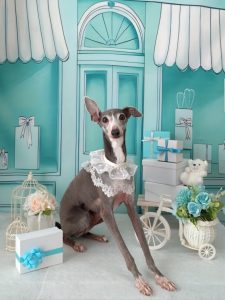 20260314_095247_copy_2014x2686