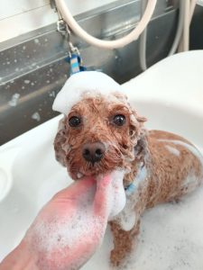 20260314_102303_copy_3000x4000