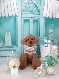 20260314_123440_copy_2010x2680