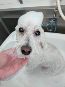 20260314_130951_copy_3000x4000