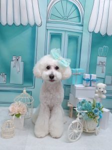 20260314_150347(2)_copy_1778x2372