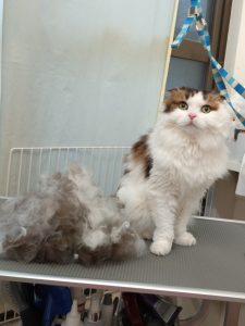 20260314_155330~2_copy_1596x2128