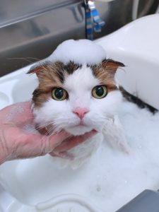 20260314_160503_copy_2700x3600