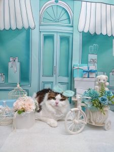 20260314_170030_copy_3000x4000