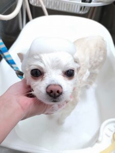 20260314_181502_copy_2845x3792