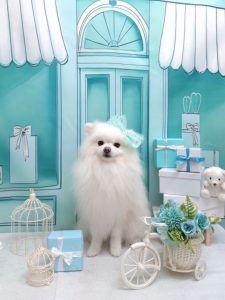 20260314_190022_copy_2160x2880