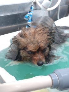 20260317_091818~2_copy_2150x2867