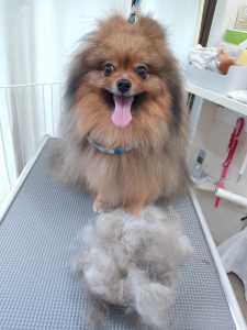 20260317_103341_copy_2549x3399